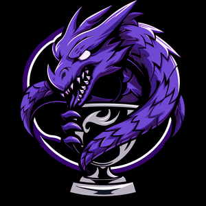 https://cdn.ready2.gg/team-image/2024/06/25d6924f24-f26c-4b37-a332-7c760f7e9242.png