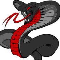 https://cdn.ready2.gg/team-image/2024/09/13689ea39a-8277-4463-8985-1c2ce8aede7e.jpg