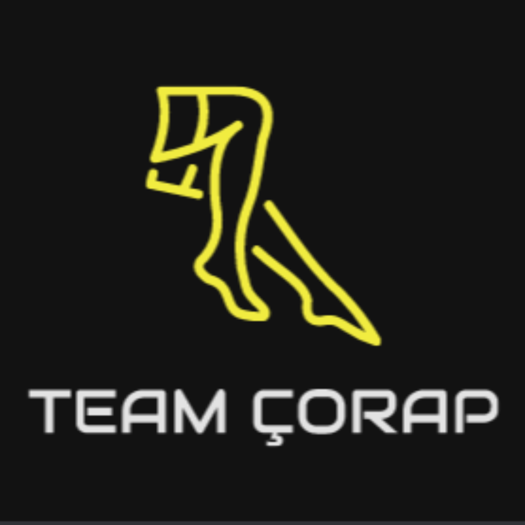 https://cdn.ready2.gg/team-image/2024/12/128e1d09f8-f174-413d-911a-1b3e867a73d8.png