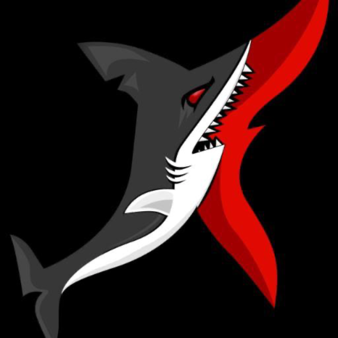 https://cdn.ready2.gg/team-image/2024/12/12f9bfeb24-1e5b-430c-9ac5-abbe2bb503cc.png