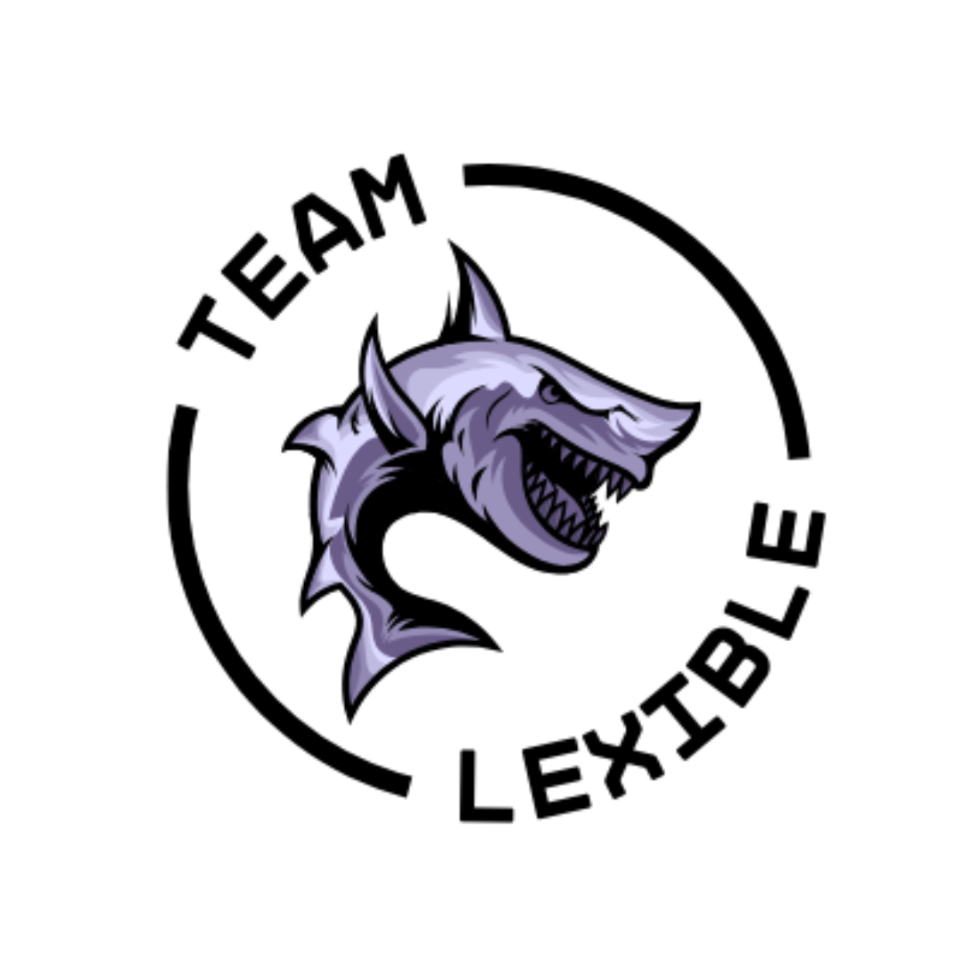 https://cdn.ready2.gg/team-image/2025/02/272de92c78-98f6-4426-9b4f-2a98e82287b6.png
