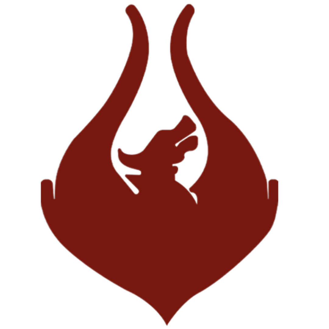 https://cdn.ready2.gg/team-image/2025/04/250a15ebf0-cfb6-4233-9f5f-066b12bc3816.png