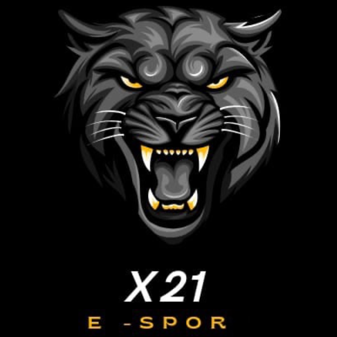 https://cdn.ready2.gg/team-image/2025/05/1780f64e5a-561f-4003-971b-6e3f94b35e38.png