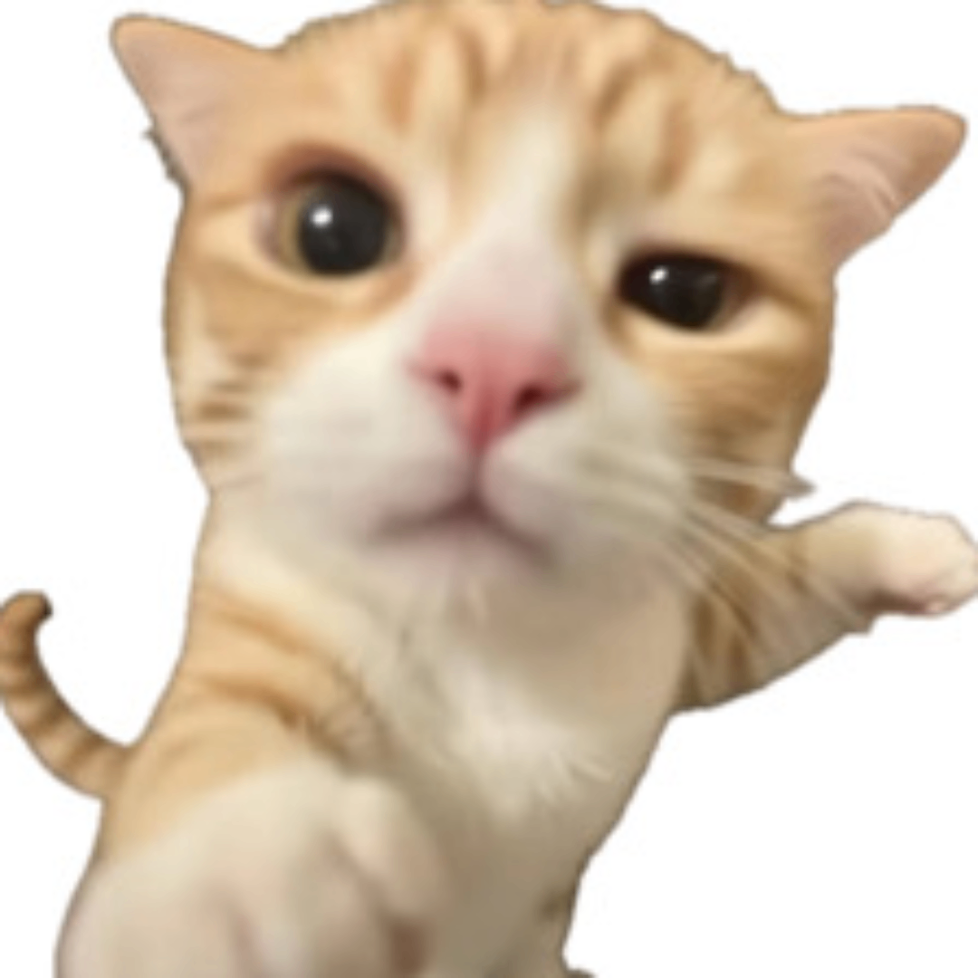 https://cdn.ready2.gg/team-image/2025/05/17f43fbb50-4d93-4e32-b2f1-d64902dfb4fc.png