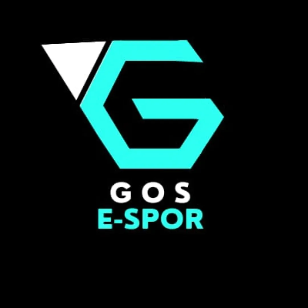 https://cdn.ready2.gg/team-image/2025/07/2217faad1c-0ec2-4bdf-ac73-47f162581b57.webp