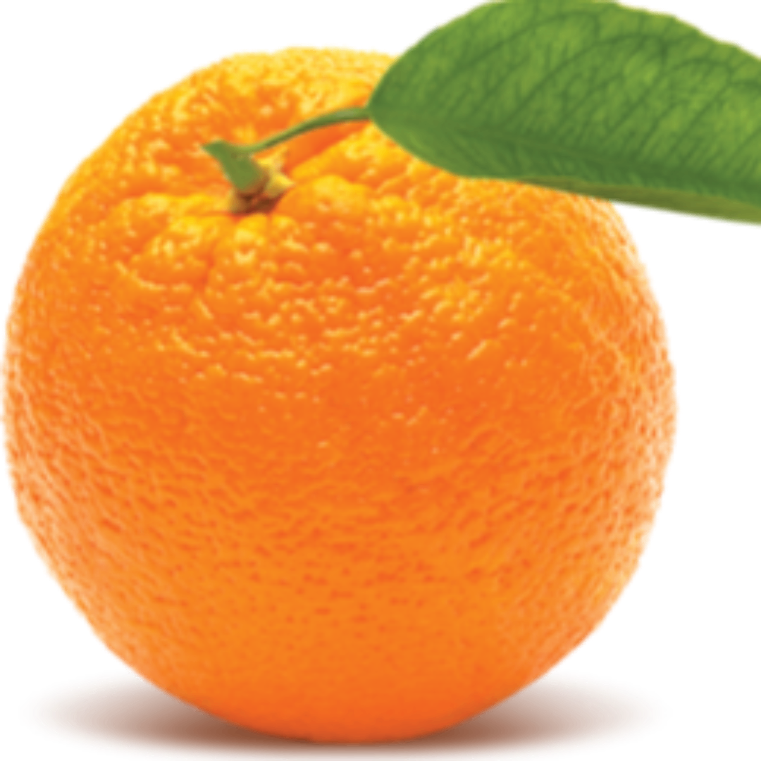 https://cdn.ready2.gg/team-image/2025/07/29c3b94323-5165-4b4f-bf46-a8fe456e3143.png