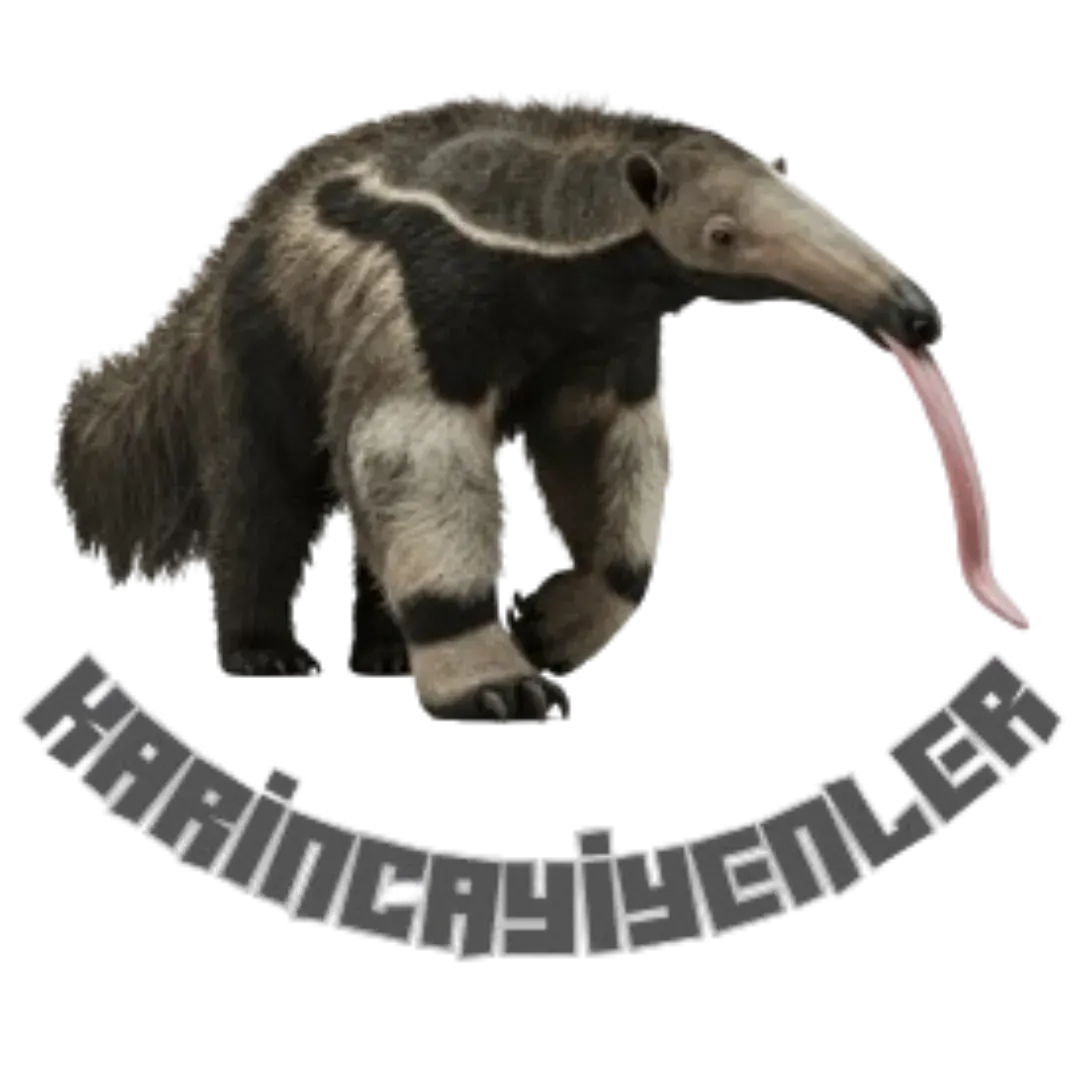 https://cdn.ready2.gg/team-image/2025/10/0813f00f29-6241-425b-b6d6-8629667ccc47.webp
