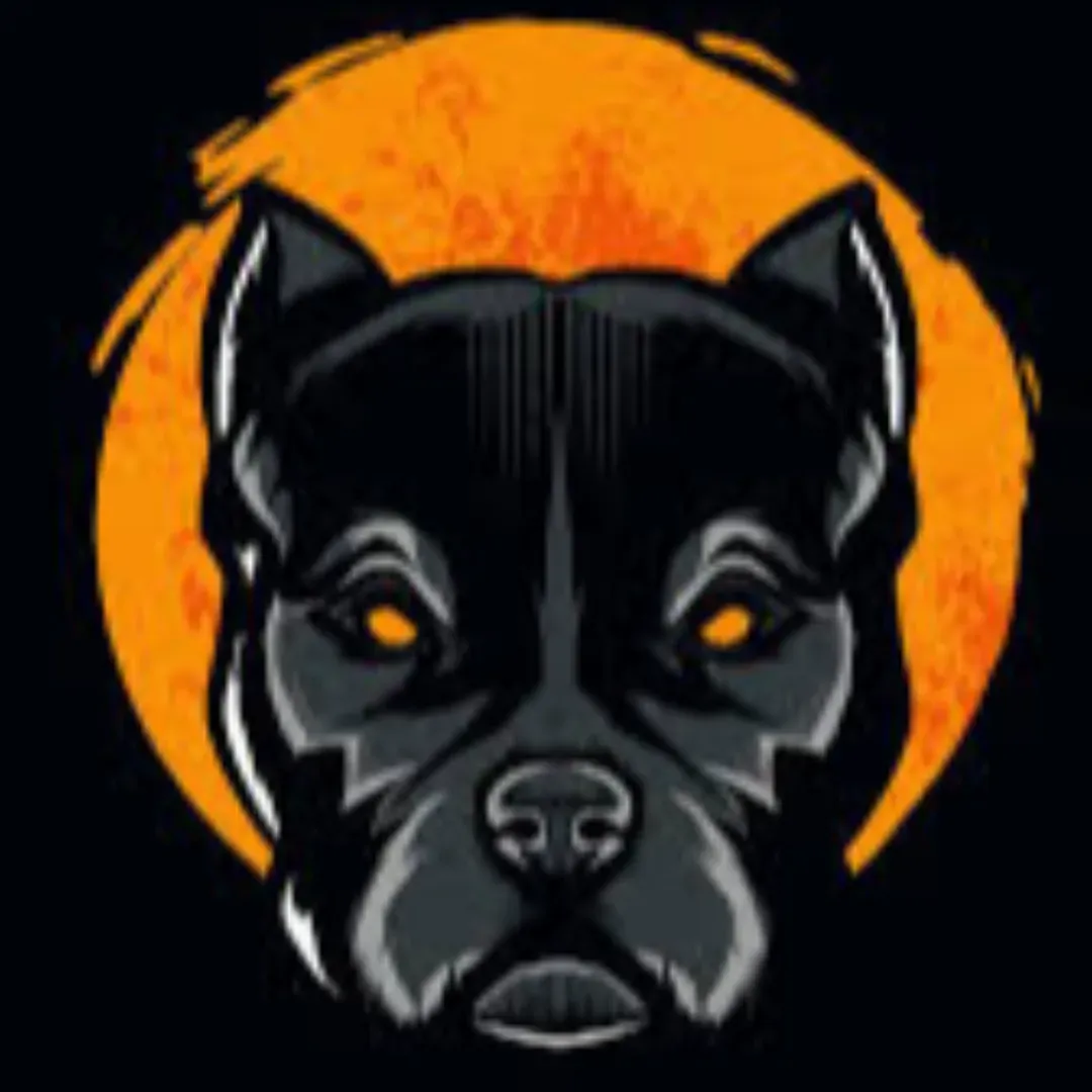 https://cdn.ready2.gg/team-image/2026/01/25a2a53e4f-ef6d-4bd9-8438-baab2527d2c5.webp