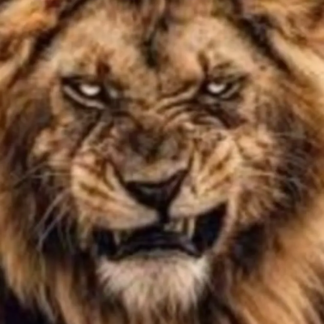 https://cdn.ready2.gg/team-image/2026/10/04524e2fcb-e49b-4e3e-9274-df4459bb8161.webp