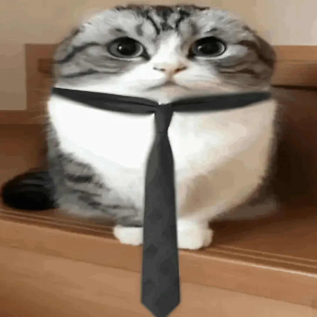 https://cdn.ready2.gg/team-image/2026/10/16aa199e48-6053-4c86-a045-44ac16677481.webp