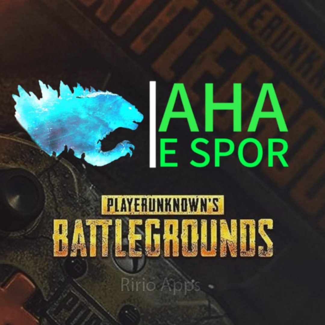 AHAESPOR
