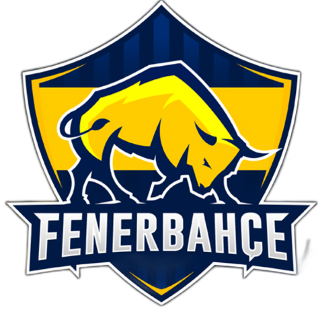 Fenerbahce Espor
