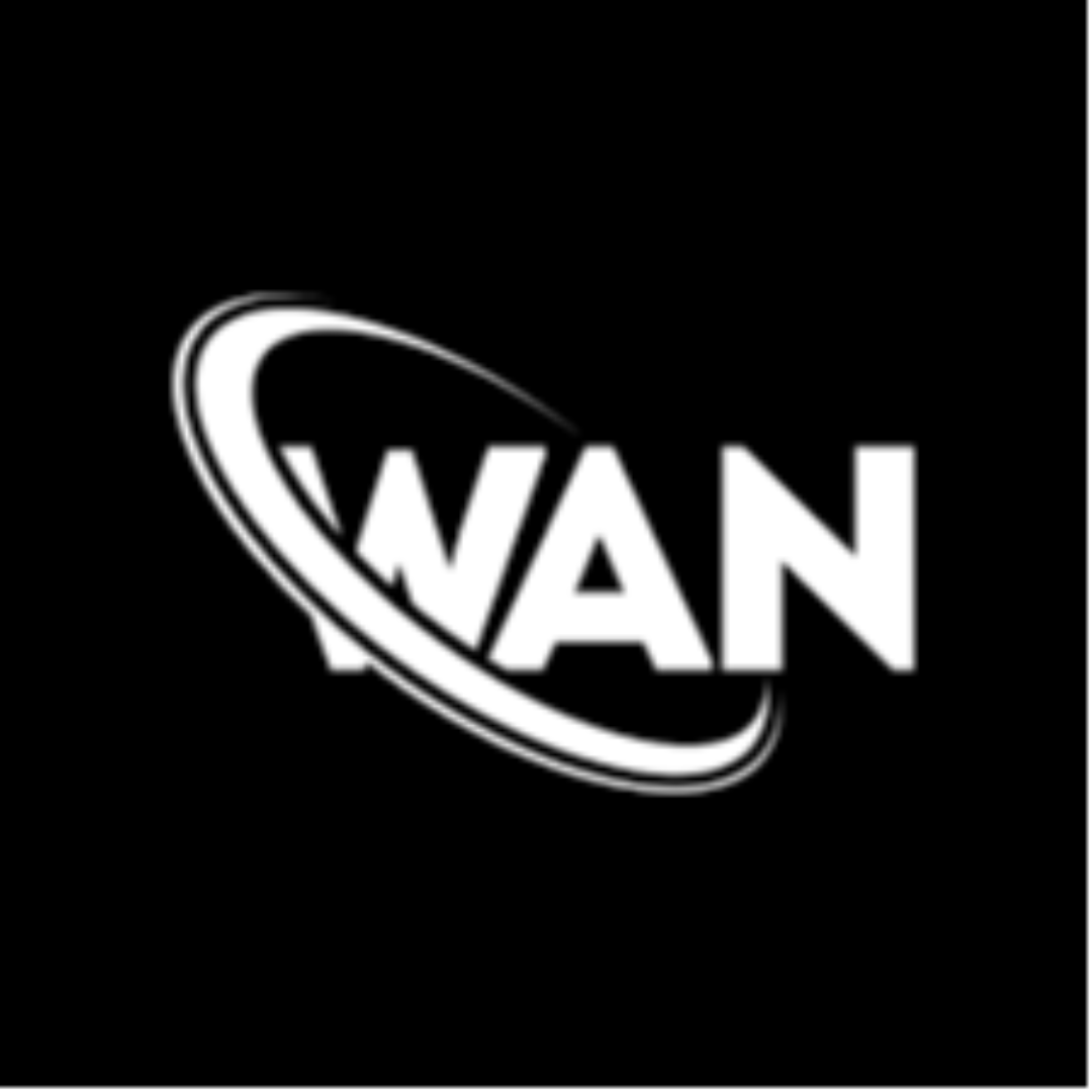 Wan Esports