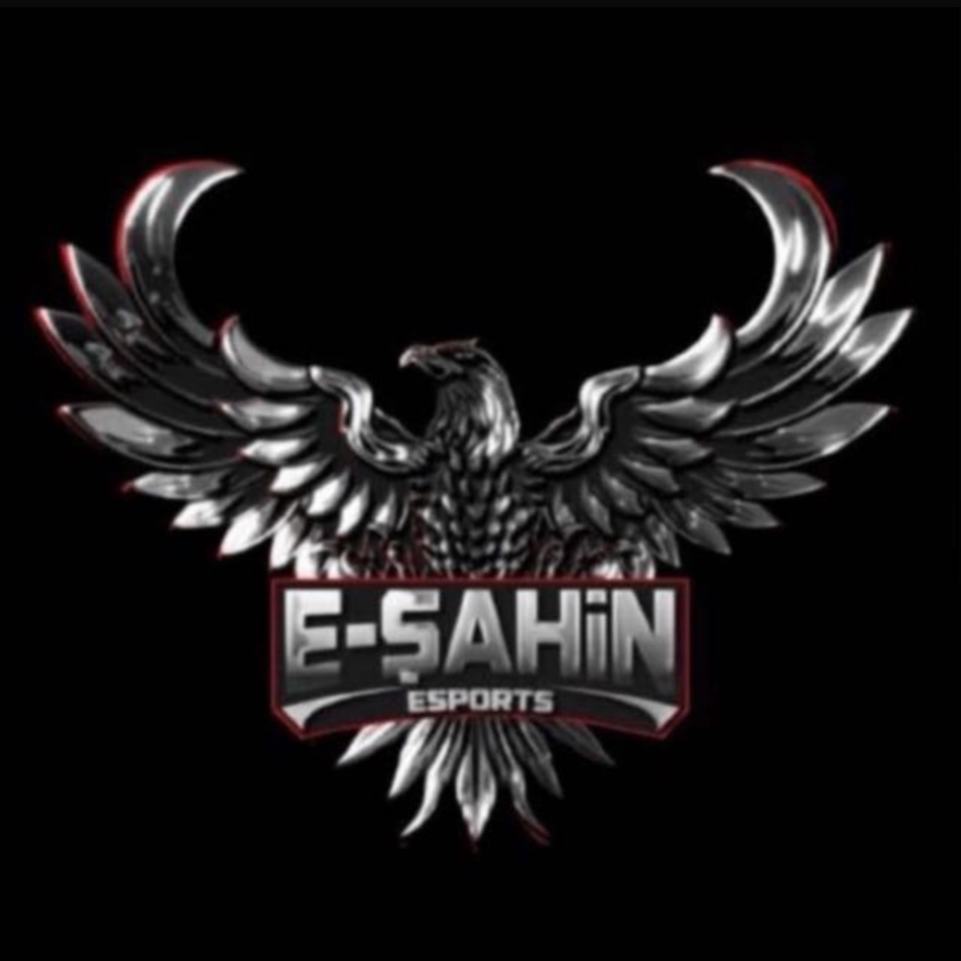 E SAHİN YILDIZLAR