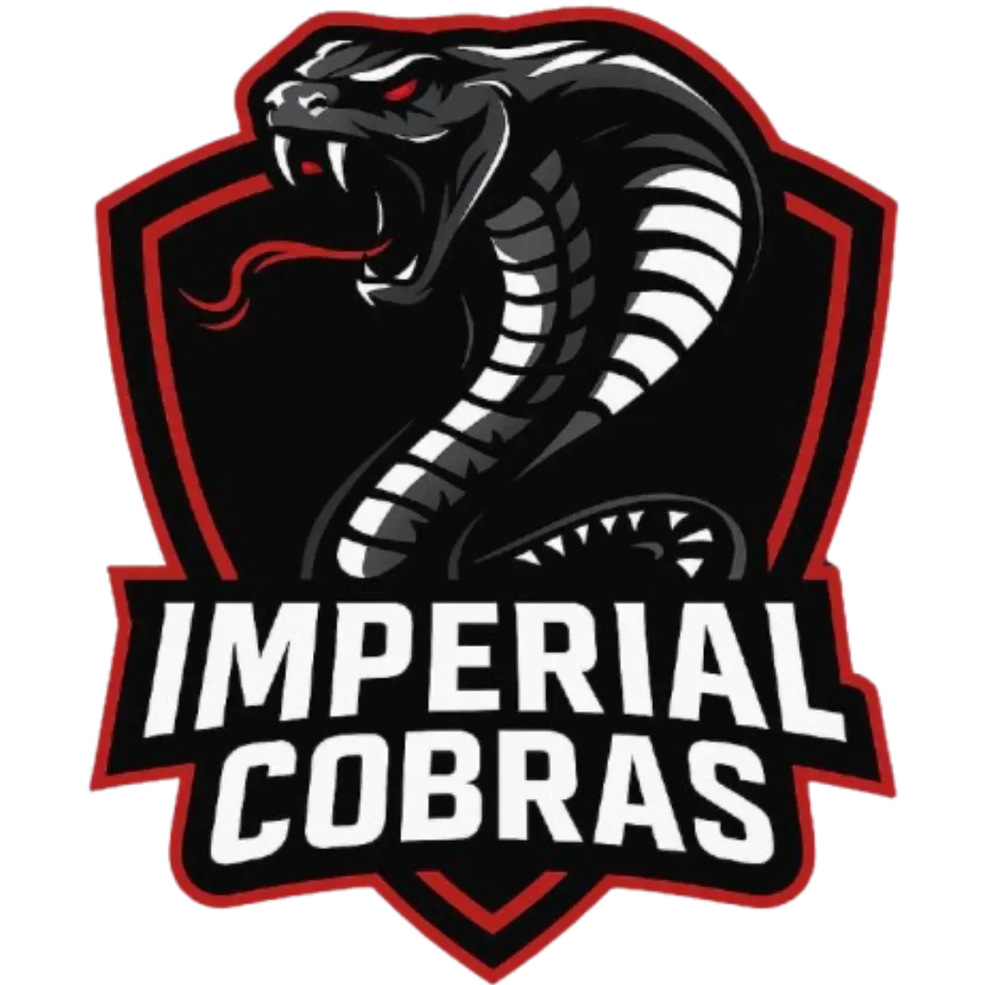 IC7 Esports