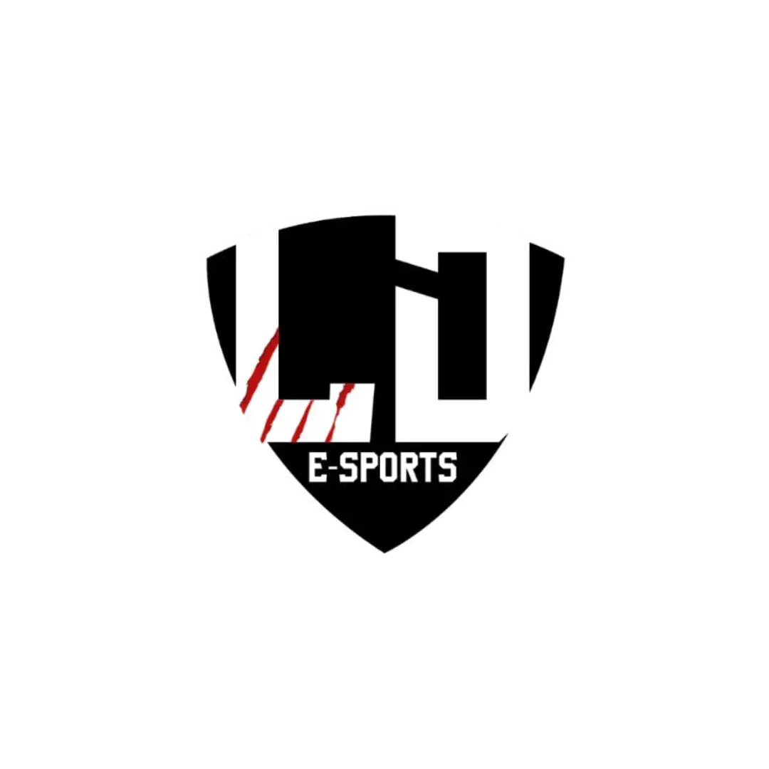 LAST DREAM E-SPORTS