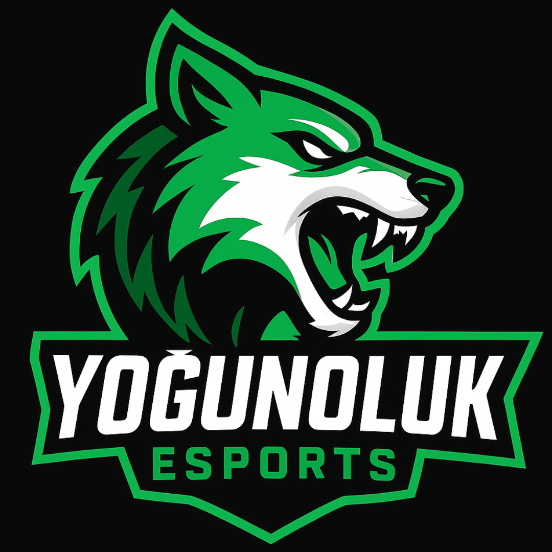 VOID ESPORTS