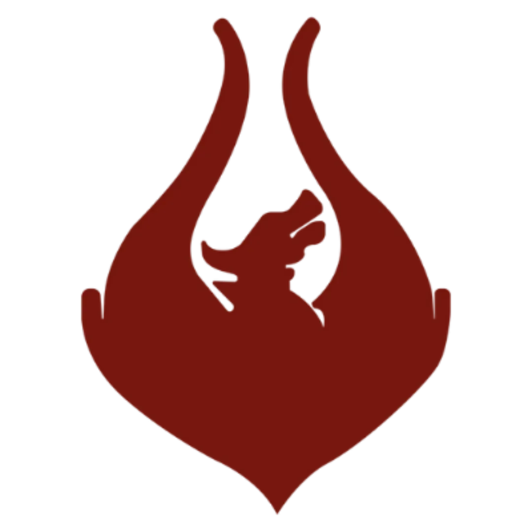 Team Phoenix