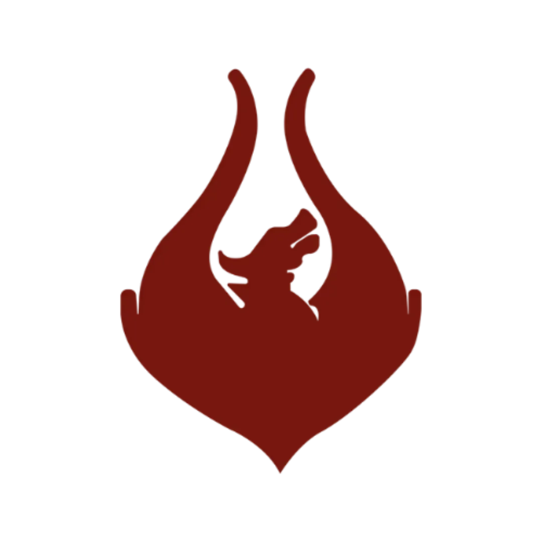 Team Phoenix