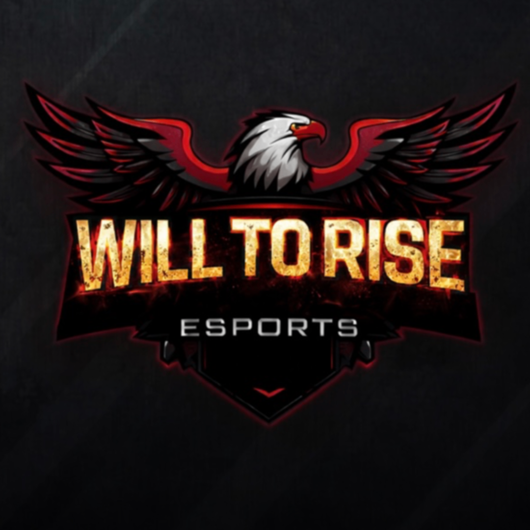Will To Rise