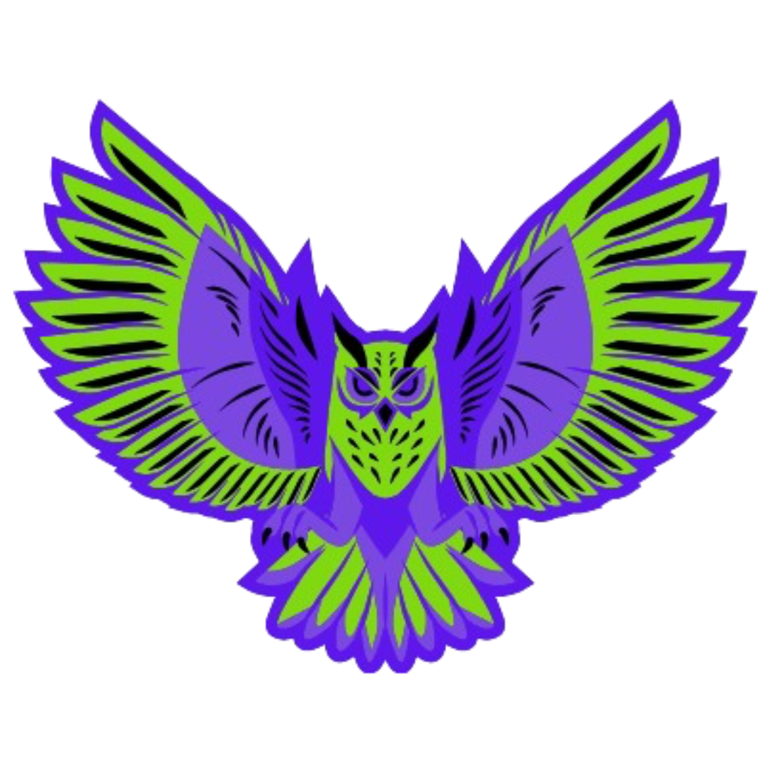NOXERA ESPORTS