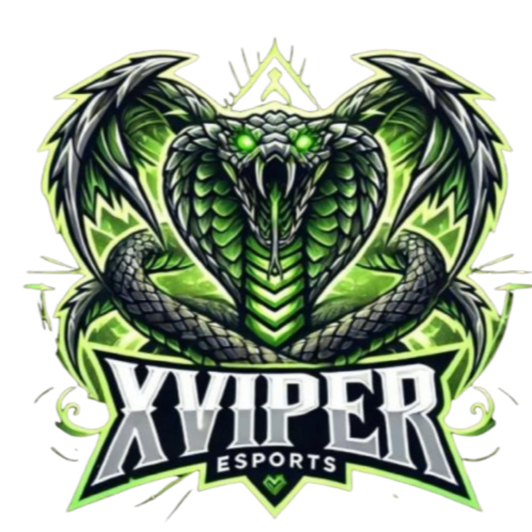 XVİPER ESPORTS