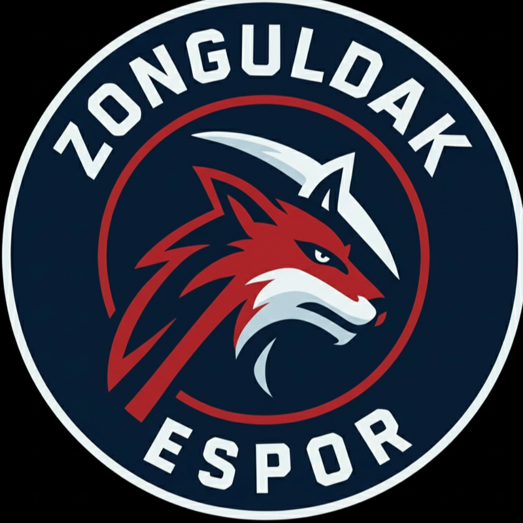 TEAM67 Academy