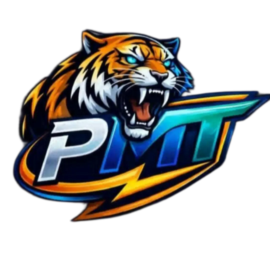 Never Miss Esports | NM