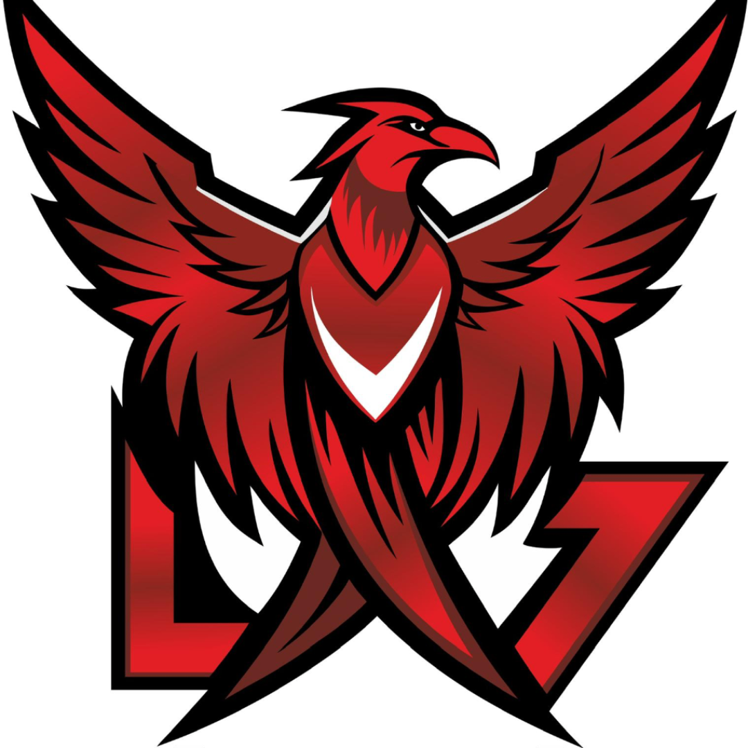 LX7 ESPORTS