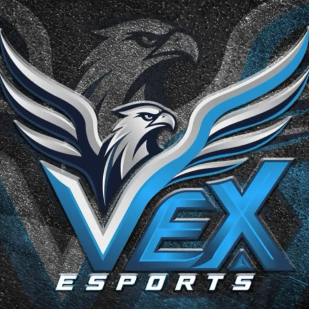 VEX ESPORTS