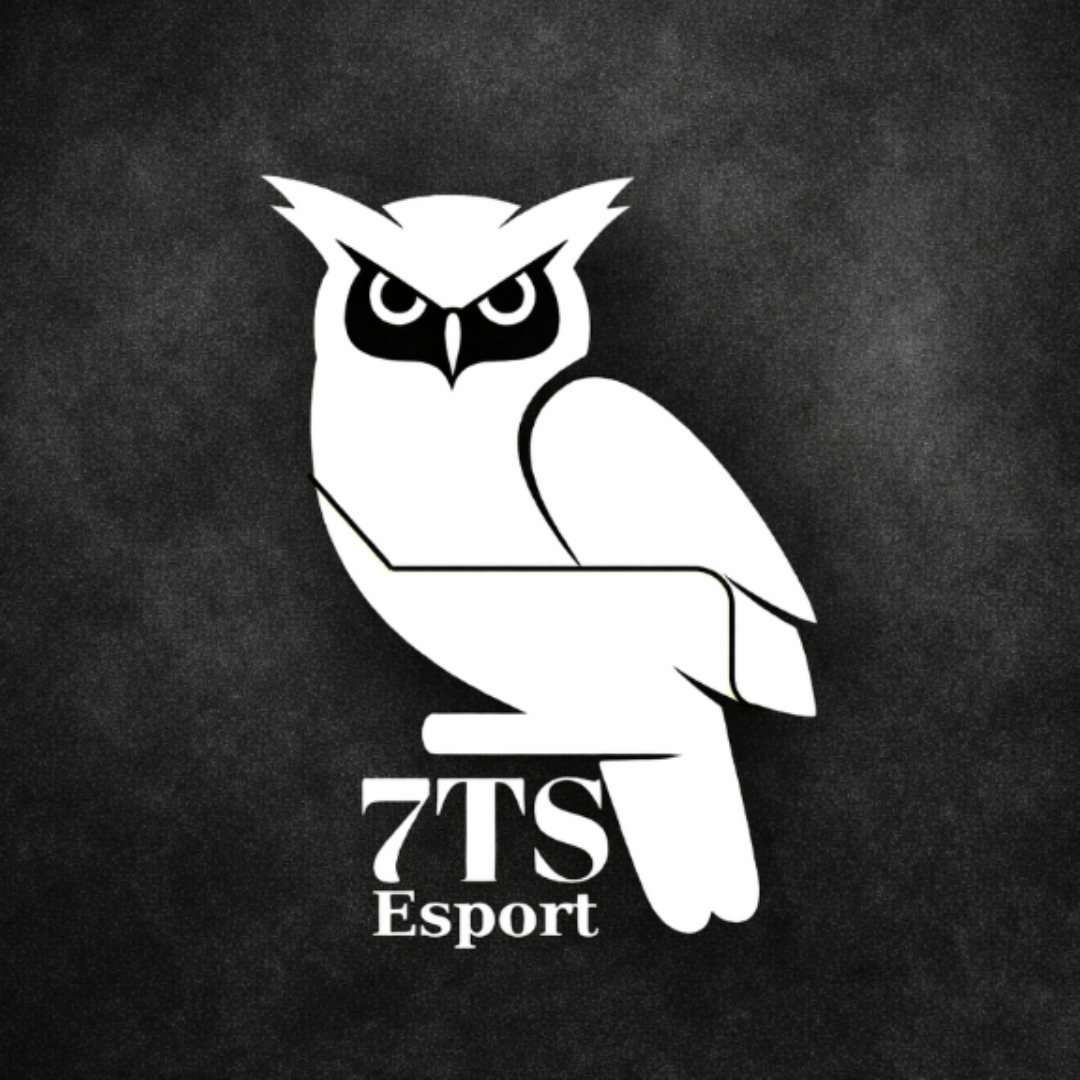 7 The Star Esport