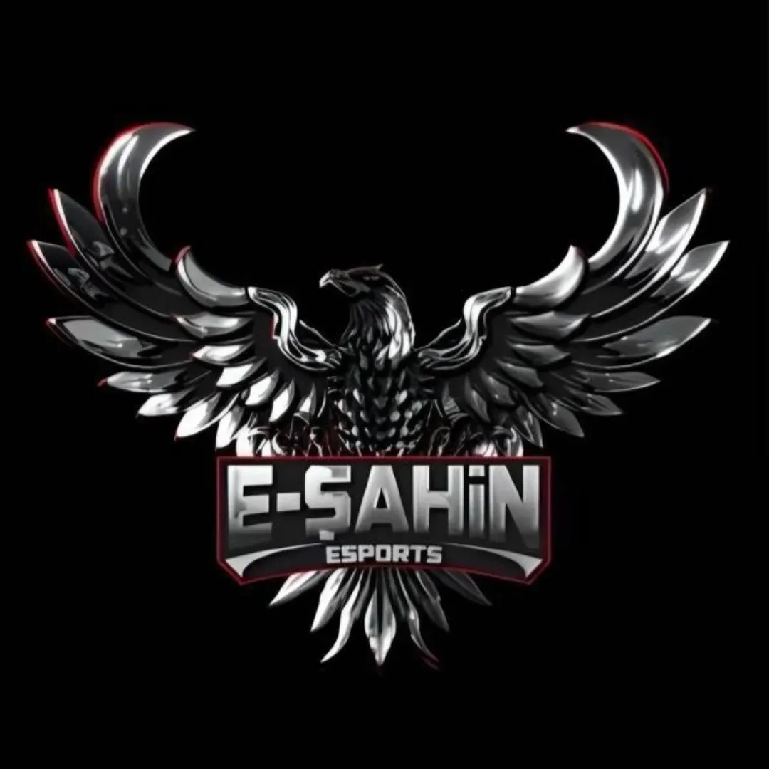 E-ŞAHİN STARS