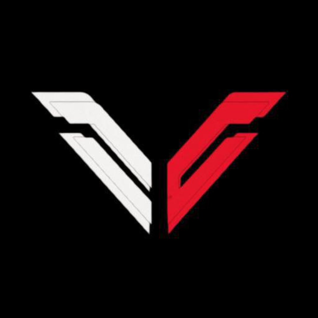 FEARLESS ESPORTS
