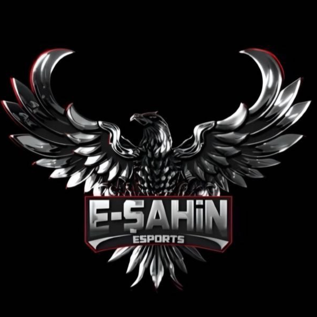 E ŞAHİN ESPORTS