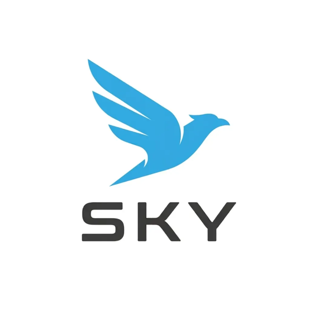SKY Scrim Team