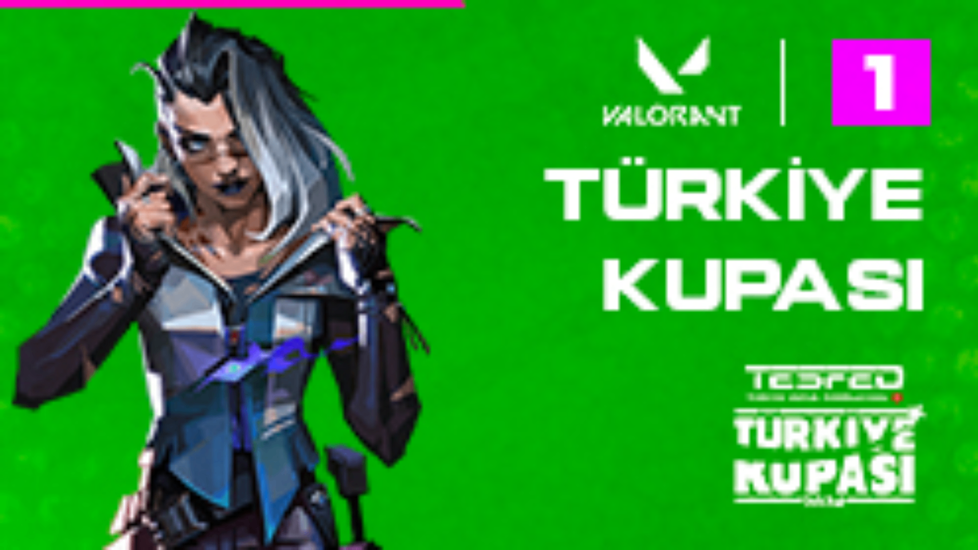 Tournament Image